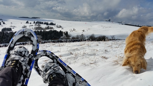 image jpeg attachment