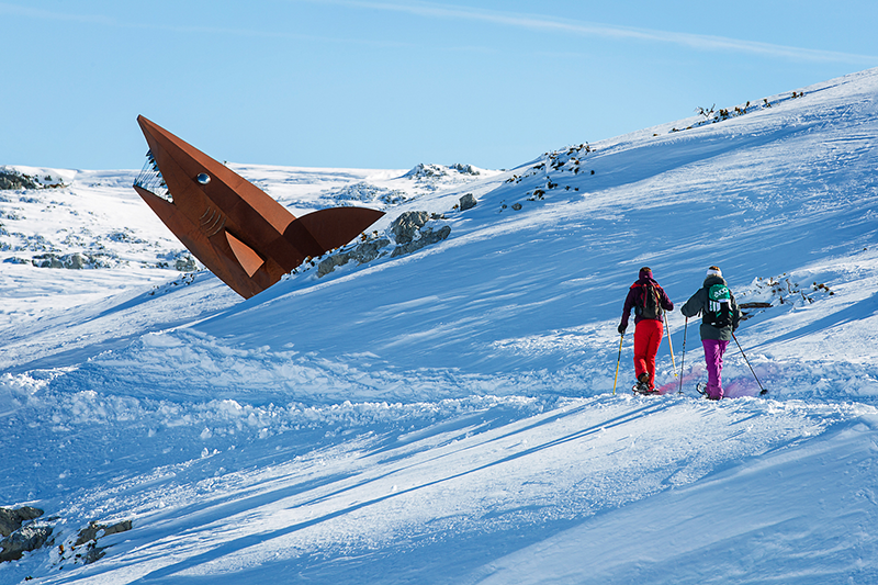 Schneeschuhtrail Dachstein Hai c Dachstein Tourismus AG